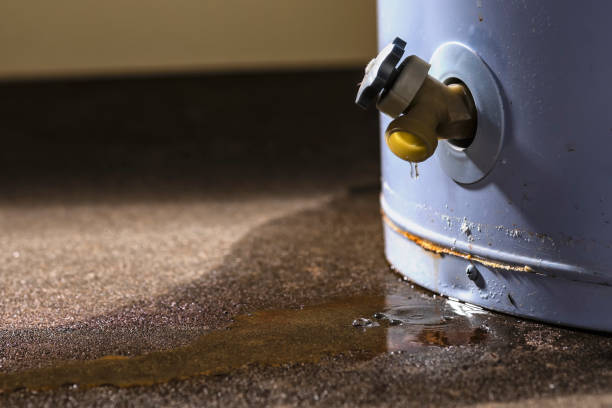 Best Basement water damage restoration  in South Henderson, NC