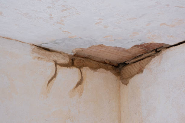 South Henderson, NC Water damage restoration Company