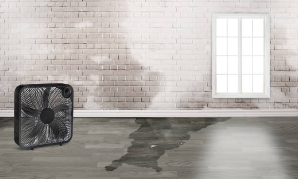 Best Water damage restoration services  in South Henderson, NC