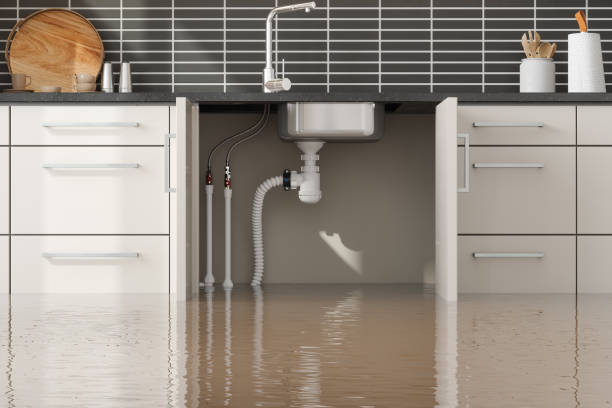 Best Fire Damage Restoration  in South Henderson, NC