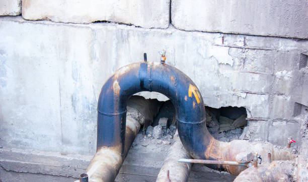 Best Mold removal after water damage  in South Henderson, NC
